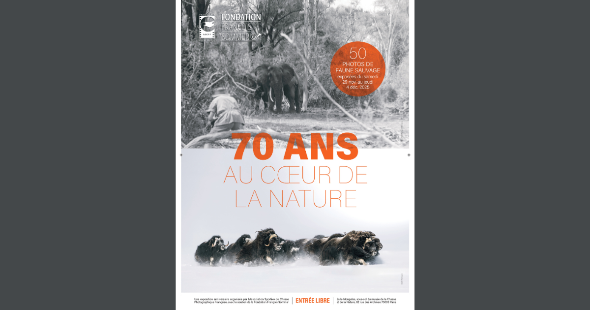 Design sans titre (4).png