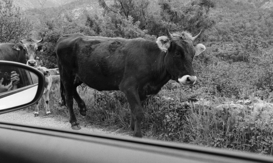 Photo : Simon Birman
