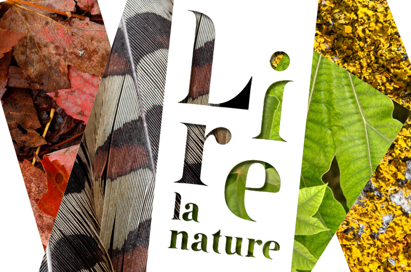 2017-salon-du-livre-lire-la-nature