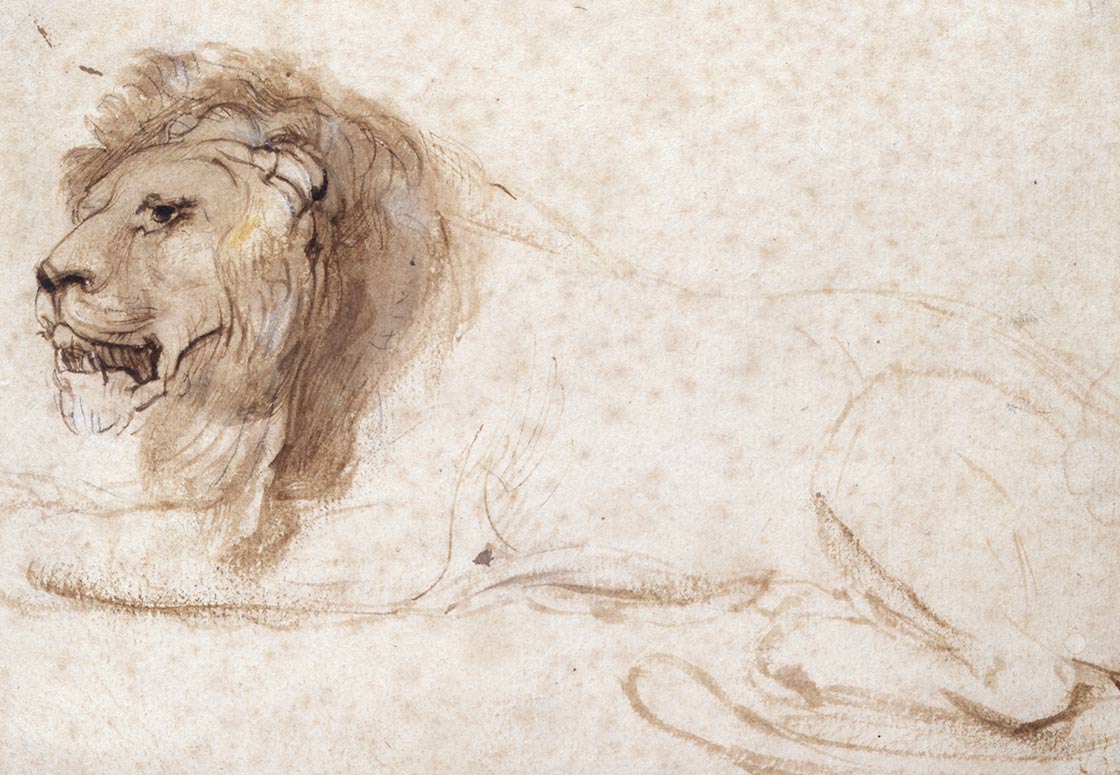 lion-couche