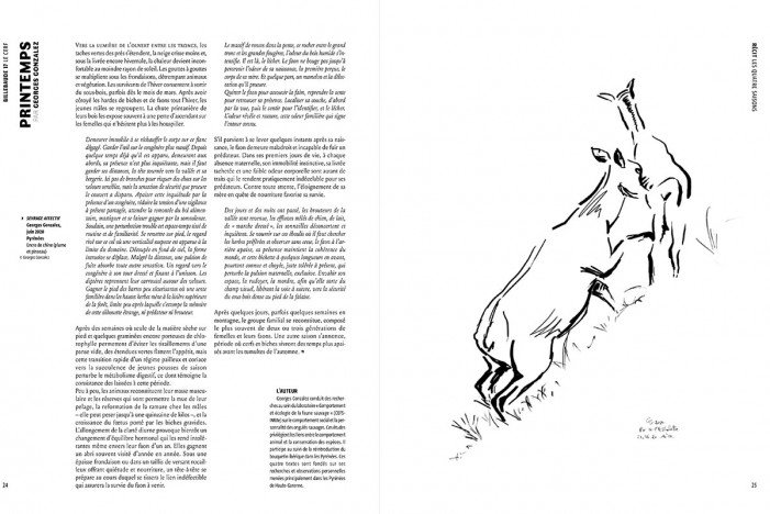Le Musée de la Chasse et de la Nature à Paris  Le cerf