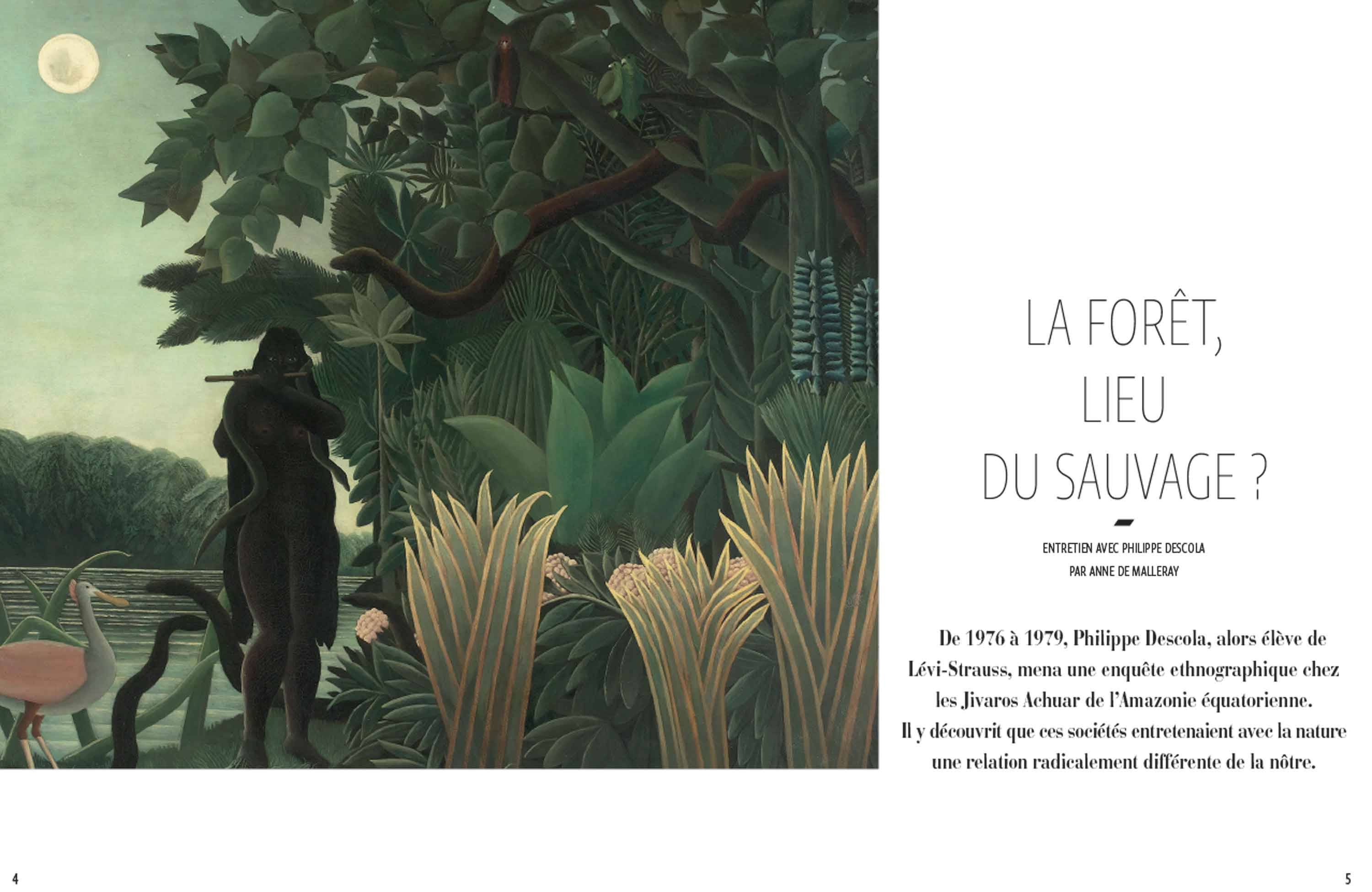 BILLEBAUDE_la_foret_lieu_du_sauvage.jpg