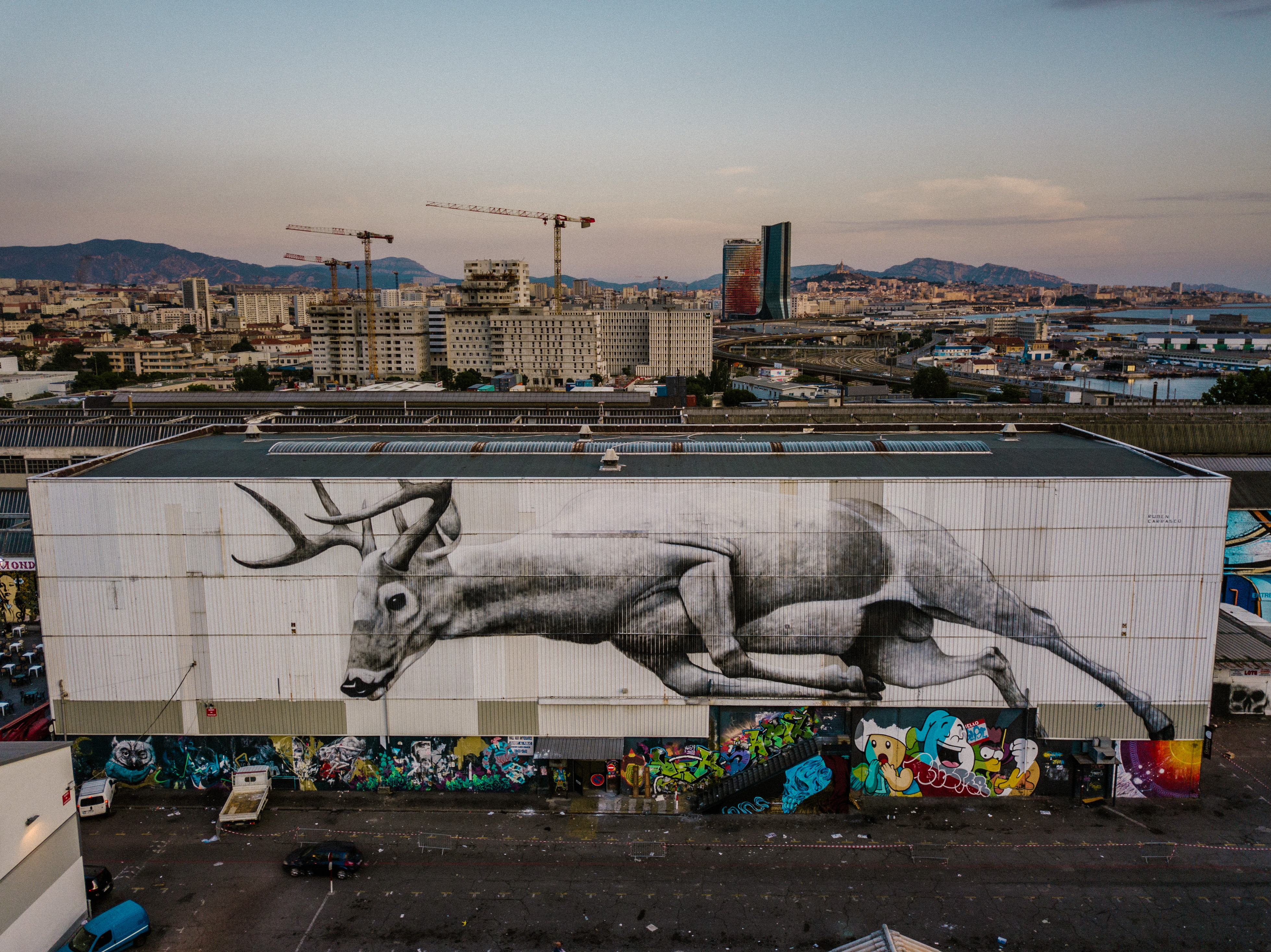 Cerf, Ruben Carrasco, 2018, Marseille (c) Yoshi Yanagita.jpg