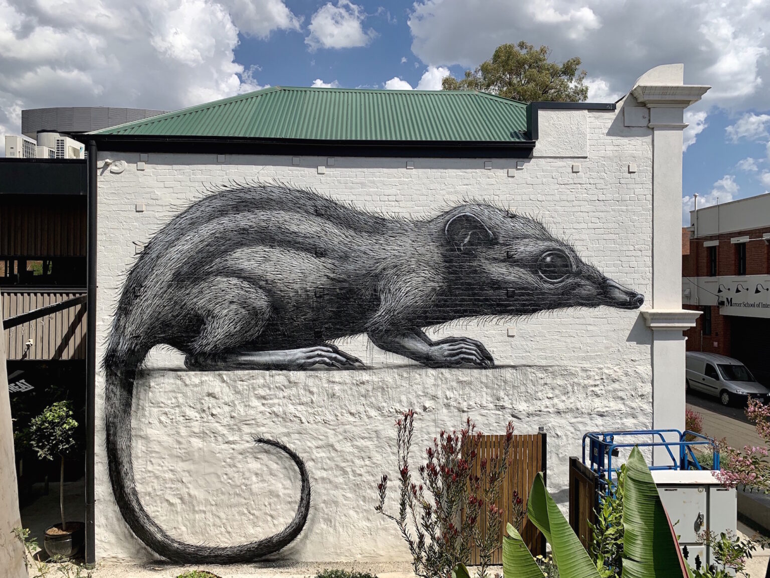 deansunshine_landofsunshine_melbourne_streetart_graffiti_streetartnews_ROA-HONEY-POSSUM-2020-1-1536x1152.jpg