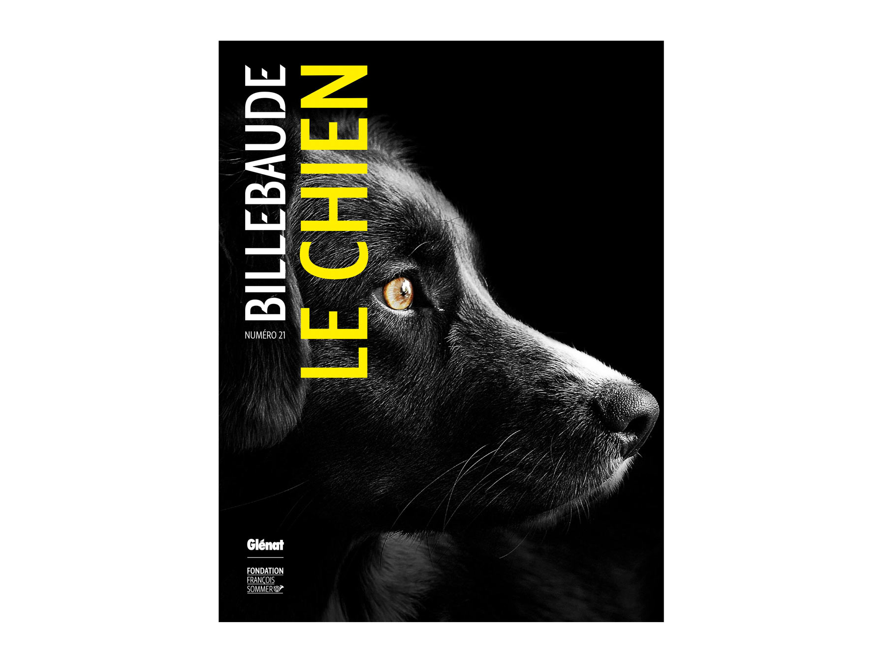 Couv-Billebaude-21-LE-CHIEN-longue-web.jpg